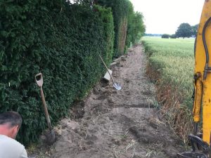 Zaunbau, Dirk Prothmann Garten- und Landschaftsbau, Hille