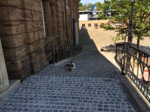 Erneuerung der Fugen an einem historischen Gebäude, Dirk Prothmann Garten- und Landschaftsbau, Hille