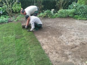 Rollrasenverlegung im Kleingarten, Dirk Prothmann Garten- und Landschaftsbau, Hille