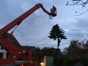 Baumfällung mit Hubsteiger, Dirk Prothmann Garten- und Landschaftsbau, Hille