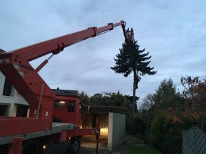 Baumfällung mit Hubsteiger, Dirk Prothmann Garten- und Landschaftsbau, Hille