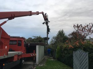 Baumfällung mit Hubsteiger, Dirk Prothmann Garten- und Landschaftsbau, Hille